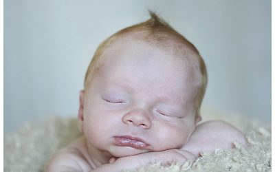 Easton Baby Photographer | Alden