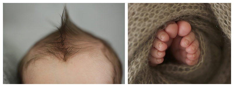 Wrentham MA Newborn Photographer