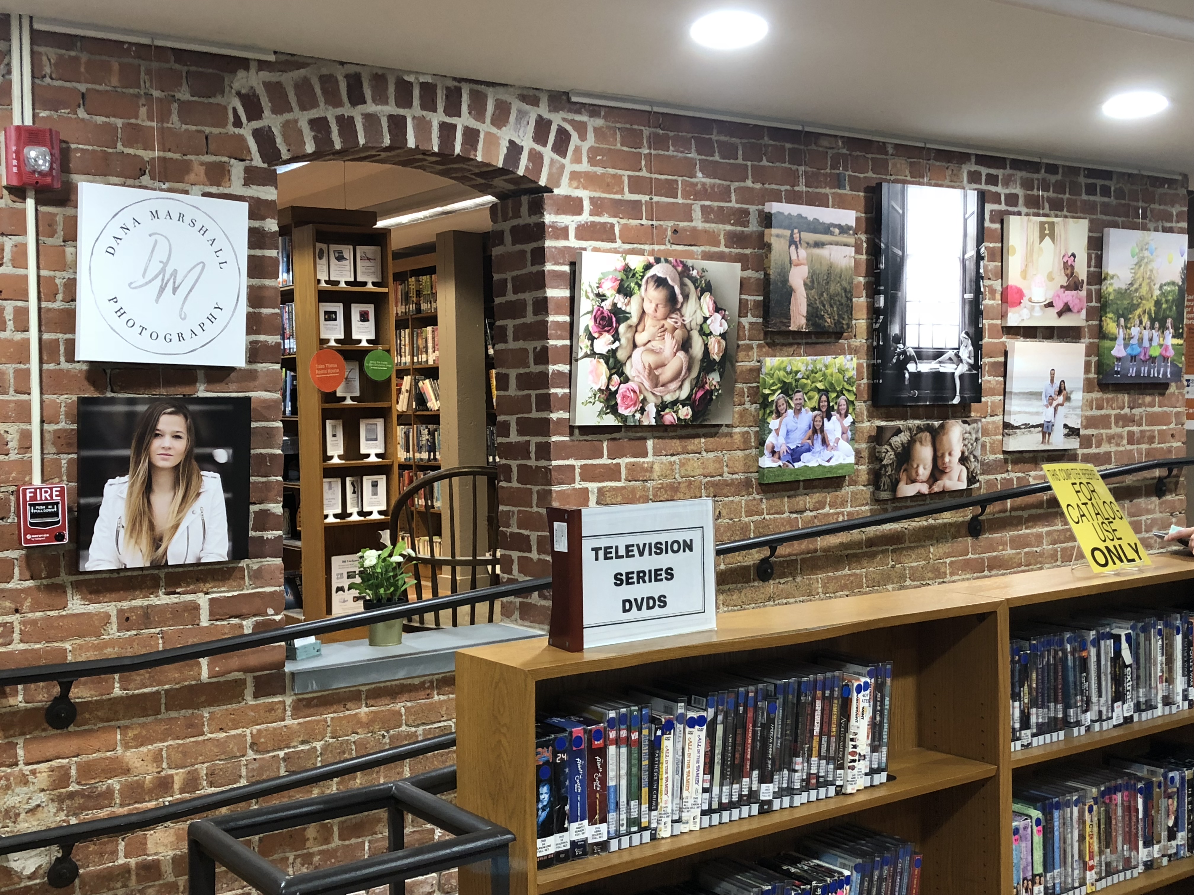 Ames Free Library Display