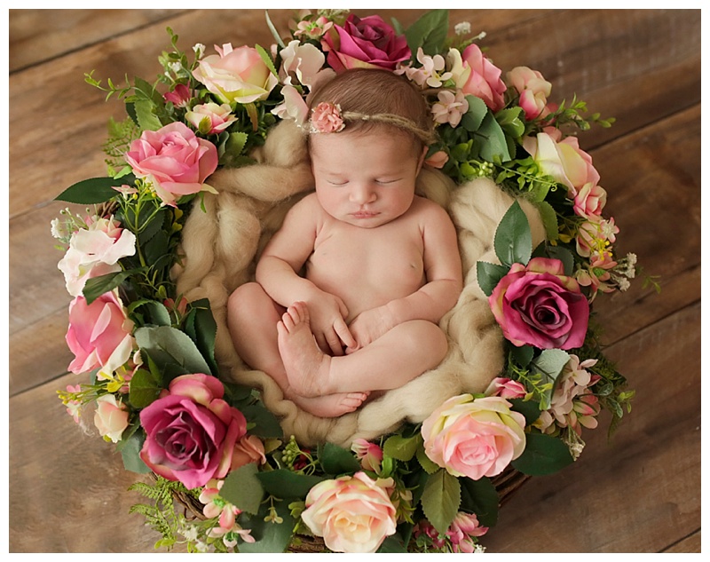 Franklin Newborn Session 4