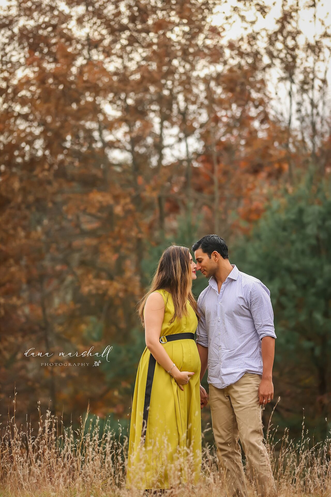 Boston MA maternity photographer